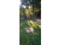 half-built-house-for-sale-in-minuwangoda-nilpanagoda-small-2