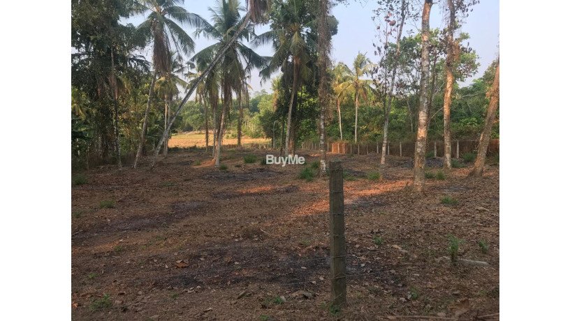 land-for-sale-in-gamapaha-udugampola-big-1