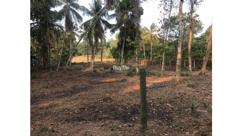 land-for-sale-in-gamapaha-udugampola-big-5