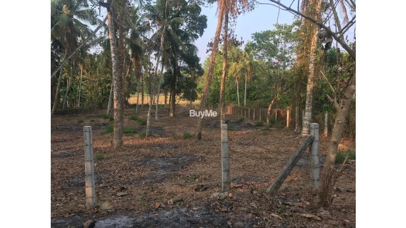 land-for-sale-in-gamapaha-udugampola-big-4