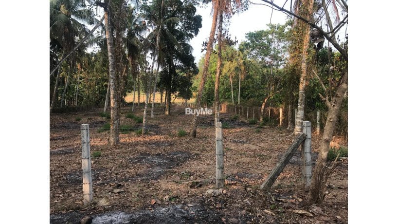 land-for-sale-in-gamapaha-udugampola-big-3