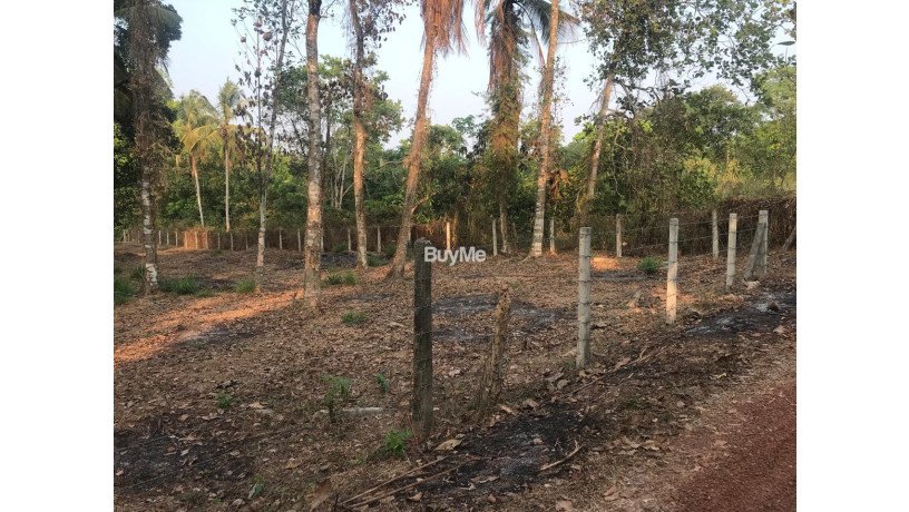 land-for-sale-in-gamapaha-udugampola-big-2