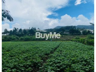 Beautiful View Land for Sale Meepilimana