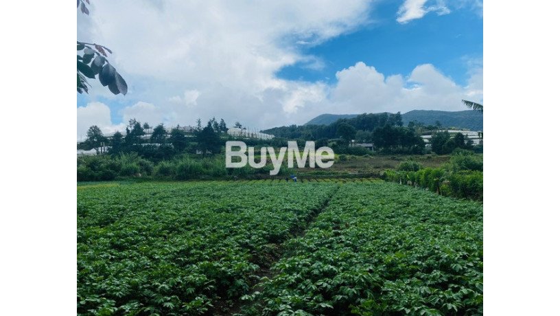 beautiful-view-land-for-sale-meepilimana-big-0