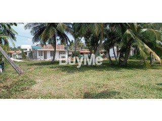 LAND FOR SALE IN JAELA, BOPITIYA - ARALIYA LANDS