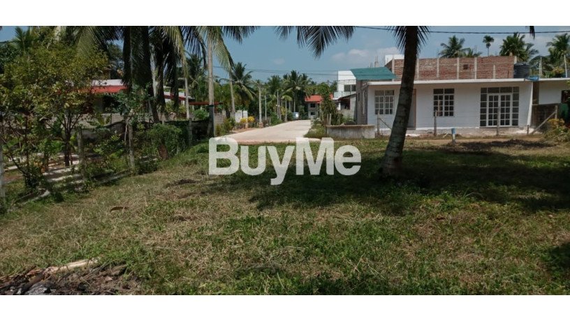 land-for-sale-in-jaela-bopitiya-araliya-lands-big-1