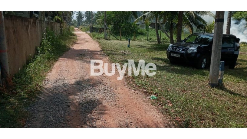 land-for-sale-in-jaela-bopitiya-araliya-lands-big-2