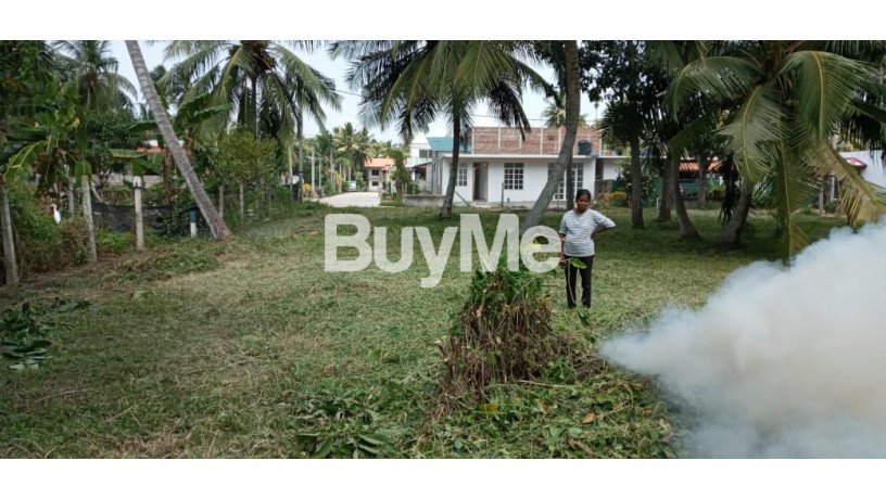 land-for-sale-in-jaela-bopitiya-araliya-lands-big-3