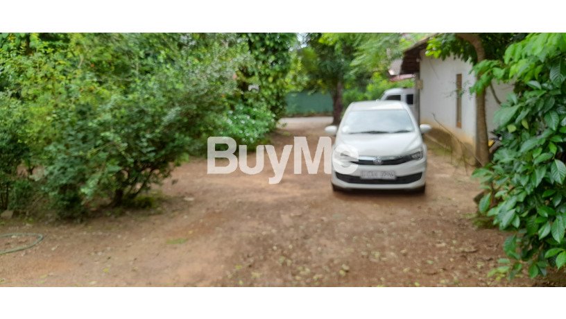 land-for-sale-in-maharagama-1088p-big-0