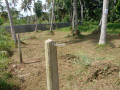 land-for-sale-in-katunayake-andiambalama-small-5