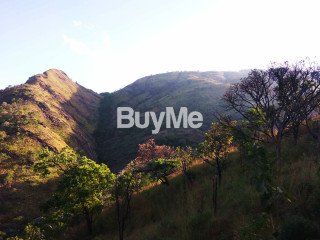 LAND FOR SALE IN BELIHULOYA