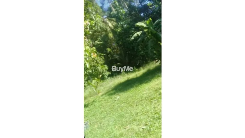 valuable-residential-flat-land-for-sale-big-2