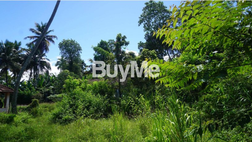 urgent-sale-prime-land-next-to-beragala-main-road-big-0