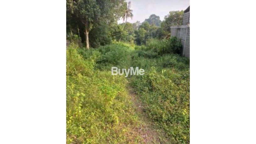 land-for-sale-in-ganemulla-big-0