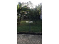 land-for-sale-in-colombo-2-small-0