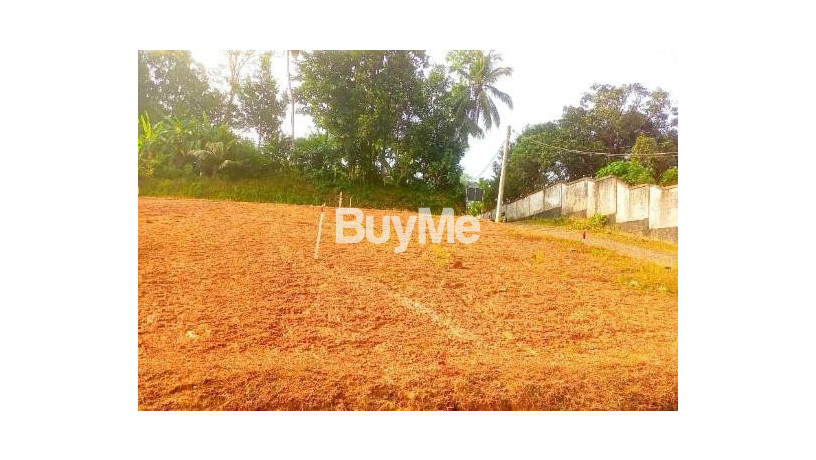 land-plots-for-sale-in-kalutara-big-5