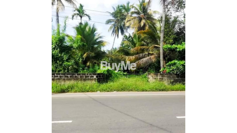 commercial-land-for-sale-in-kalutara-big-0