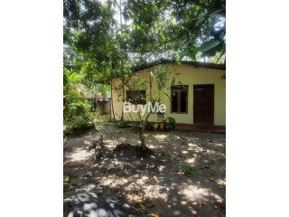 LAND AND OLD HOUSE FOR SALE IN KADAWATHA STF ROAD