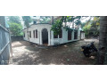 land-with-old-house-for-sale-in-mtlavinia-small-2