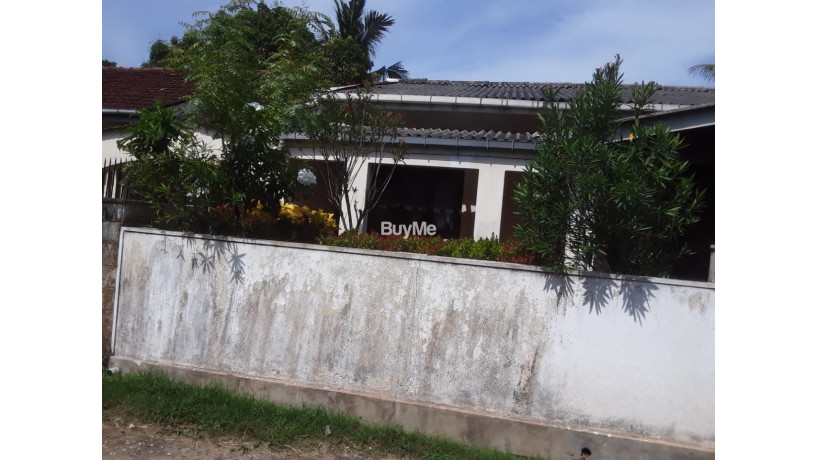 single-rooms-for-rent-in-rathmalana-for-boys-big-2