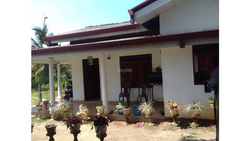 house-for-sale-negombo-big-2