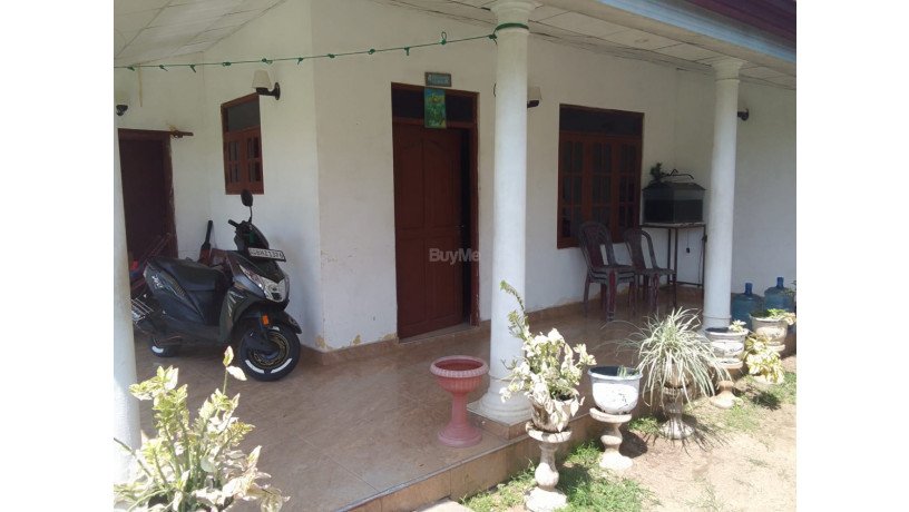 house-for-sale-negombo-big-4