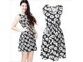 women-floral-printed-sleeveless-dress-black-sale-small-0