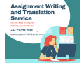 assignment-writing-and-translation-service-small-0