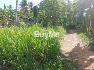 LAND FOR SALE IN MINUWANGODA GALKANDA