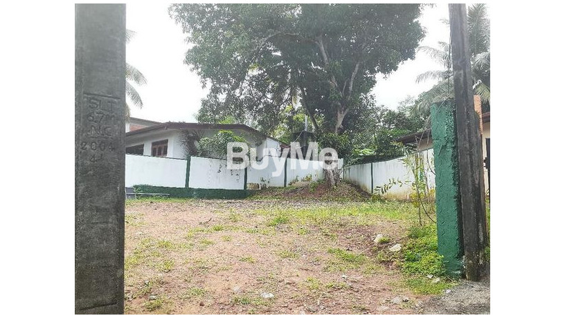 land-for-sale-in-pannipitiya-big-1