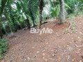 land-for-sale-in-kadawatha-kirillawala-small-2
