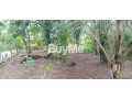 land-for-sale-in-kadawatha-kirillawala-small-0
