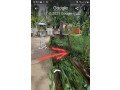 land-for-sale-in-kadawatha-kirillawala-small-3