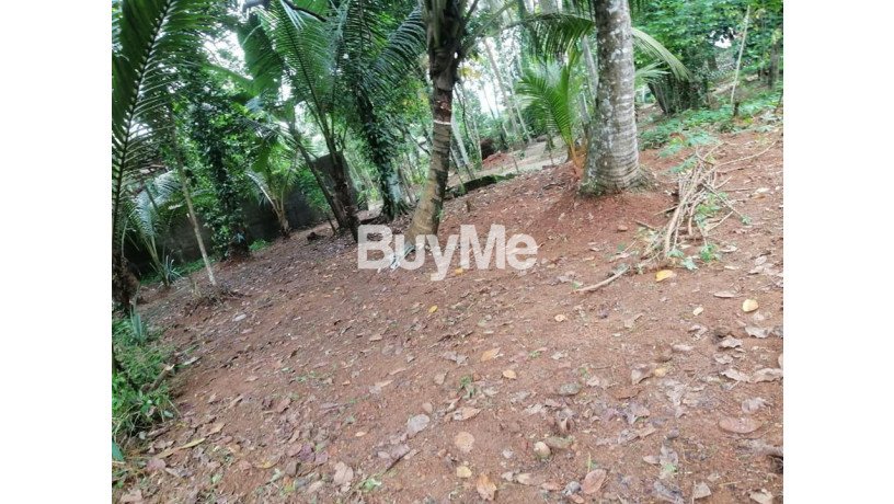 land-for-sale-in-kadawatha-kirillawala-big-2