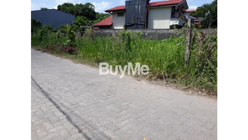 land-for-sale-in-kiribathgoda-dalugama-lumbini-road-big-0