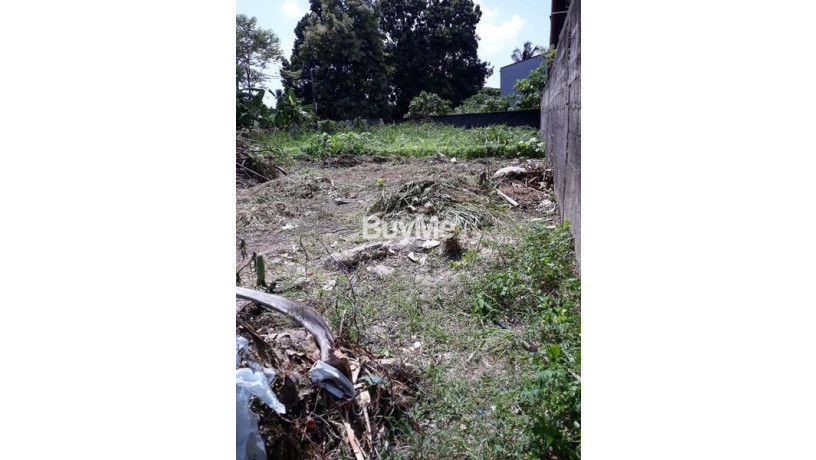land-for-sale-in-kiribathgoda-dalugama-lumbini-road-big-1