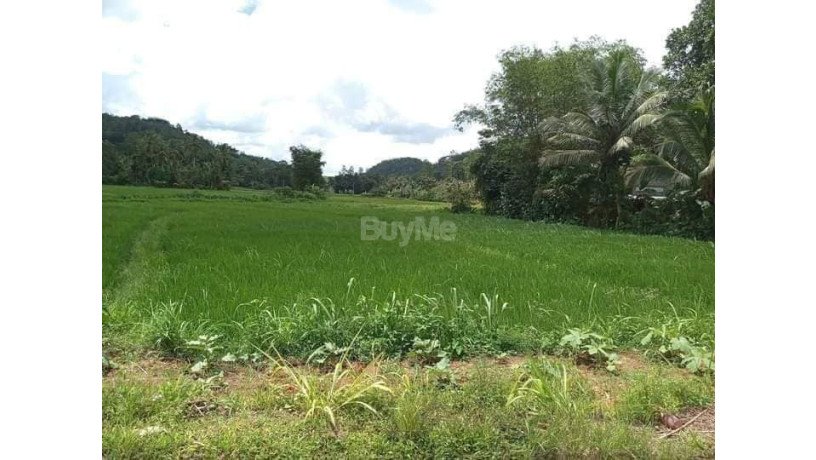 land-for-sale-in-kalutara-mathugama-big-3