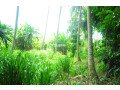 coconut-land-for-sale-in-rambukkana-small-3