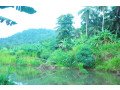 coconut-land-for-sale-in-rambukkana-small-7