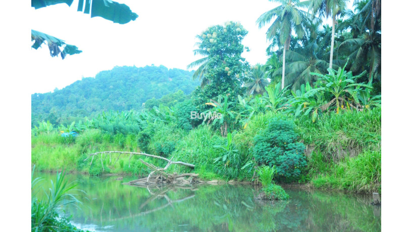 coconut-land-for-sale-in-rambukkana-big-7