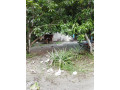 12-perch-land-for-sale-in-malamulla-area-panadura-small-2