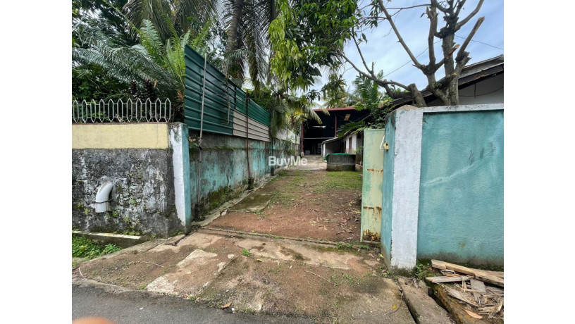land-for-sale-or-rent-with-warehouse-big-2