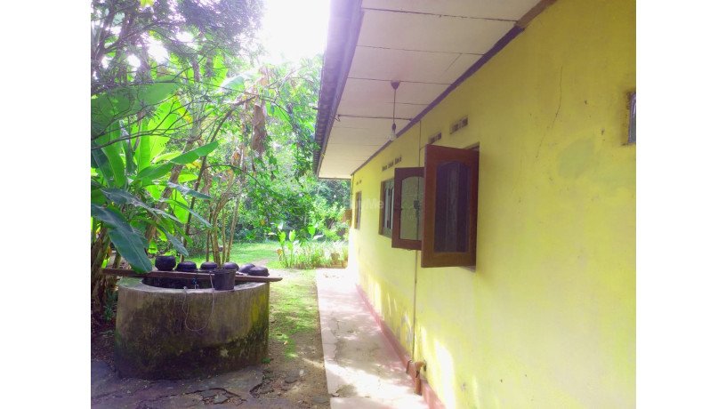 house-for-sale-in-kalutara-big-4