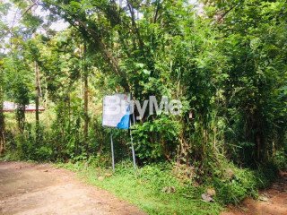 LAND FOR SALE IN BADULLA (HALDUMULLA).