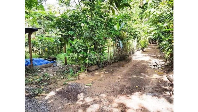 land-for-sale-in-kalamulla-kalutara-big-4