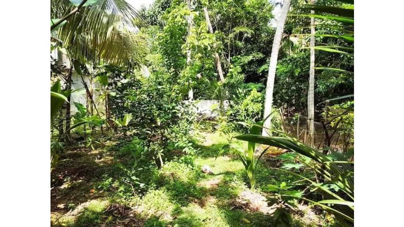 land-for-sale-in-kalamulla-kalutara-big-0