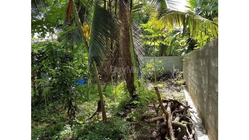 land-for-sale-in-kalamulla-kalutara-big-1