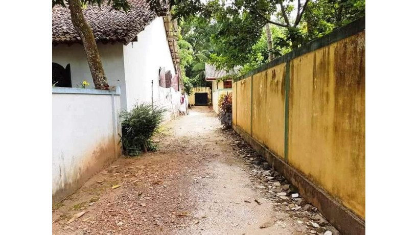 land-for-sale-in-kalamulla-kalutara-big-3