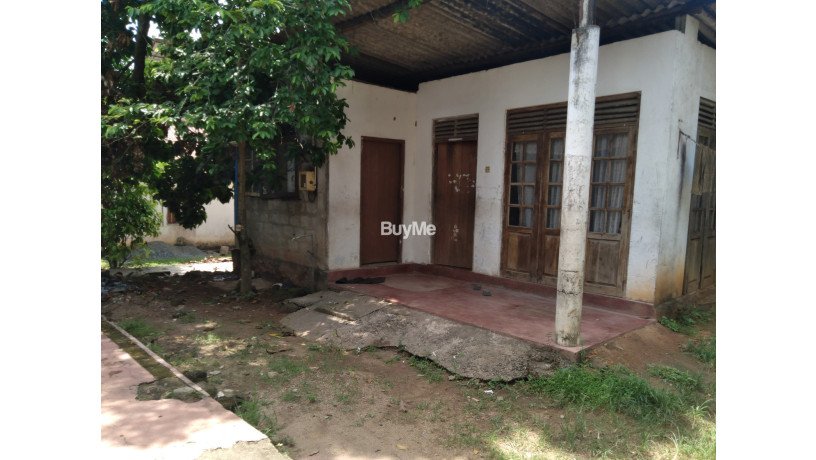 old-house-for-sale-dabahena-rdmaharagama-big-0