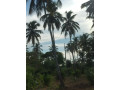 land-for-sale-in-tangalle-small-0